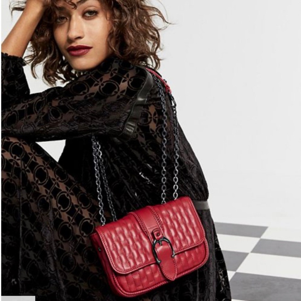 💮SOLD💮 Longchamp Amazone Mini Crossbody NWT